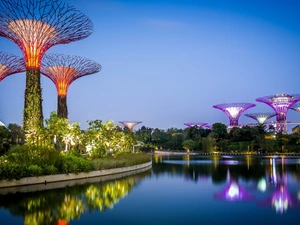 Bushes, Gardens by the Bay, light, viewes, evening, Singapur, water, reflection, trees, Gulf