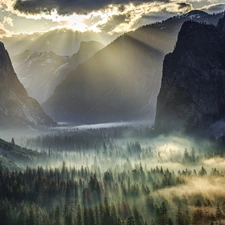 Yosemite National Park, Mountains, Sunrise, forest, Fog, State of California, The United States, waterfall