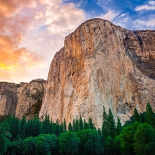 Yosemite National Park, The United States, woods, clouds, Mountains, State of California