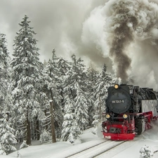 Train, winter, forest