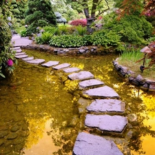 transition, rhododendron, water, Stone, Garden