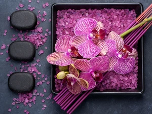 orchids, salt, Incense, crystals, Stones, Flowers, Spa, Tray