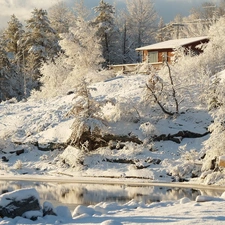 trees, winter, Bush, house, viewes, Pond - car