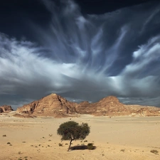 trees, Sky, canyon