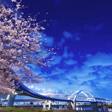 trees, clouds, River, flourishing, bridge