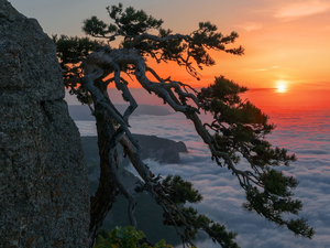 Alushta City, Crimea, Demerji Mountain, Ghost Valley, clouds, sea, trees, pine, Sunrise