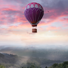 viewes, Mountains, Fog, trees, Balloons, VEGETATION, birds