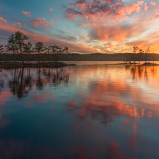 trees, viewes, Norway, Great Sunsets, Ringerike, lake, Islets, clouds