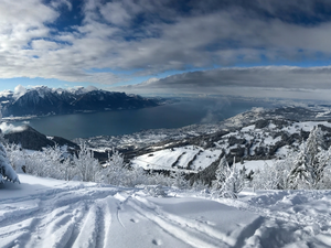 trees, viewes, Switzerland, Alps Mountains, Montreux, snow, winter, Lake Geneva