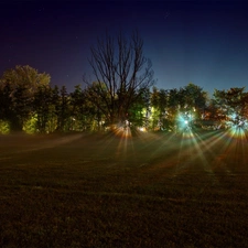 sun, west, trees, viewes, flash, luminosity, ligh, sun, Przebijające