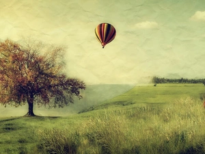 trees, Balloon, Meadow
