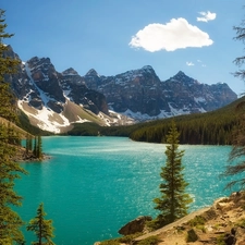 viewes, lake, Canada, Moraine Lake, Alberta, trees, Mountains, Banff National Park