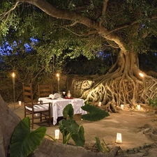 Restaurant, trees