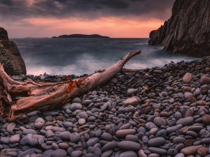 Great Sunsets, Japanese Sea, rocks, Stones, Seaside, Russia, trees, viewes, Lod on the beach