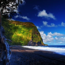 sea, coast, trees, Rocks