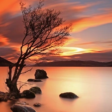 trees, Stones, west, sun, lake