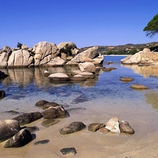 trees, lake, Stones