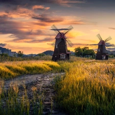 viewes, Windmills, Sunrise, trees, Meadow, Houses, clouds