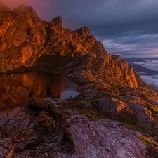 pine, lake, Tasmania, trees, rocks, Mountains, Australia