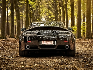 trees, viewes, 2012, forest, Aston Martin V8 Vantage Roadster