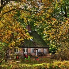 trees, viewes, house, Garden, autumn