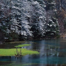 trees, viewes, Winters, lake, beginning