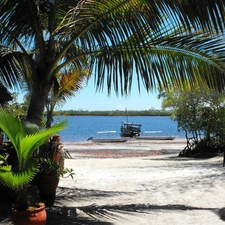 Beaches, Palm, trees, viewes, Boats, River