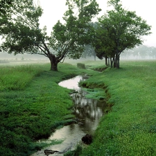 Narrow, Green, trees, viewes, brook, Meadow