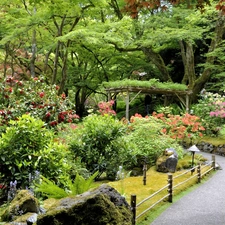 flourishing, Garden, trees, viewes, Bush, beatyfull