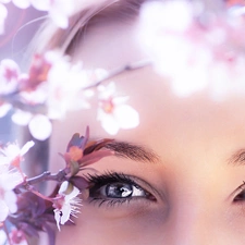 trees, viewes, Womens, flourishing, Eyes