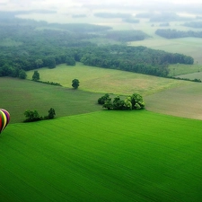 trees, viewes, color, Balloon, field