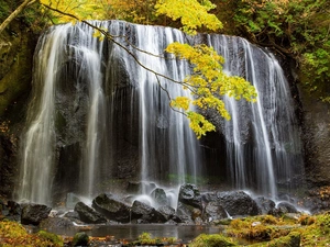 Waterfall Tatsuzawa Fudo no Taki, Japan, trees, viewes, rocks, Honshu Island