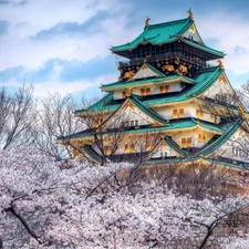 trees, viewes, house, flourishing, japanese