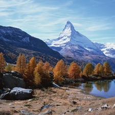 woods, Snowy, trees, viewes, lake, Mountains