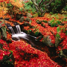 Stones, autumn, trees, viewes, Leaf, waterfall