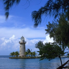 trees, viewes, maritime, sea, Lighthouse