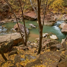 trees, viewes, River, rocks, Mountain