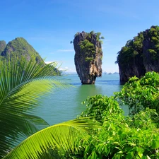 trees, viewes, rocks, Palm, Mountains