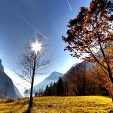 trees, viewes, rays, sun, Mountains