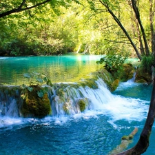trees, viewes, azure, water, River