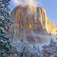 national, California, trees, viewes, rocks, Park