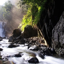 trees, viewes, brook, waterfall, rocks