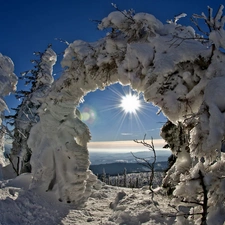 trees, viewes, sun, Snowy, Sky