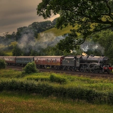 trees, viewes, locomotive, Mountains, Train