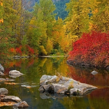 trees, viewes, Stones, color, water