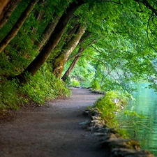 viewes, Path, water, trees, Plitvice National Park