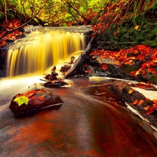 trees, viewes, brook, Leaf, waterfall