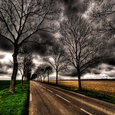 trees, viewes, dark, clouds, Way