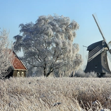 trees, viewes, frosted, grass, Windmill