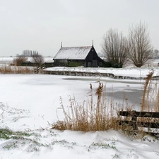 trees, viewes, Houses, field, winter